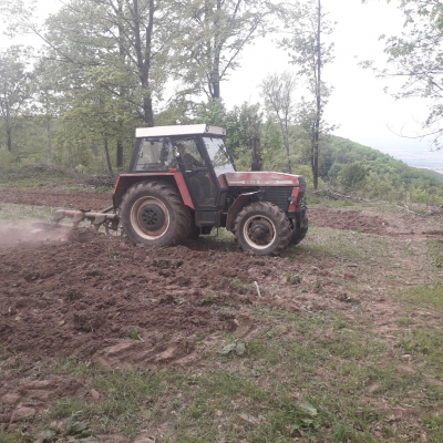 Jako každý rok se přípravy políček zhostil Vláčil Vladimír